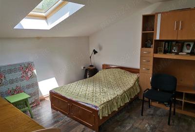 Cabana de vacanta Casoaia jud. Arad - 4