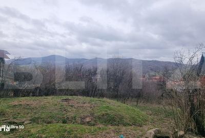 Spațiu comercial, în Homorâciu - 8