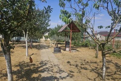 Casă cu 2 camere cu Canalizare în Mihail Kogălniceanu - 13