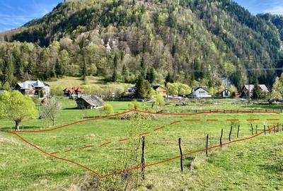 Teren panoramic insorit, utilitati, panta mica si padure, turism sau vacanta - 15