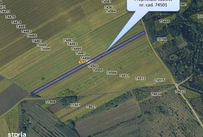 Spațiu comercial, în Muntenii de Jos - 4