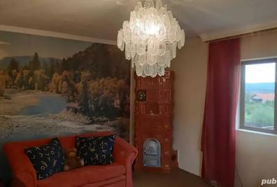 Vand casa de locuit in Turceni - 2