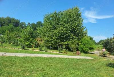 Casă cu 3 camere în Braniștea - 2