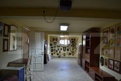 Vila 6 camere, 450mp, Dumbravi?a, zona Ferventia-Fropin - 8