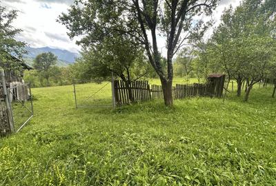 Teren intravilan 3102mp zona Racovita-Blanoiu - 5