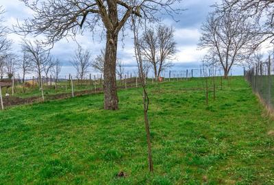 Casa cu 6 camere suprafata 220mp si teren 1700mp spre vanzare in Rosia,SB - 18