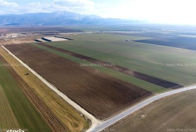 Spațiu comercial, în Vulcan - 3