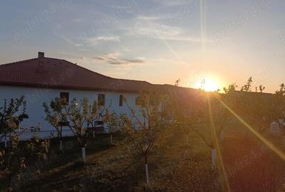 Casă cu Teren 1800 Mp în Moriști - 9
