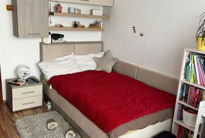 Apartament cu 3 camere decomandat, mobilat în Simeria - 5