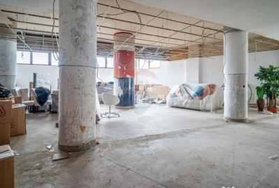 Spațiu comercial, de 210 mp, în Silva - 10