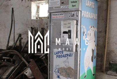 Teren de 10065 mp, în Ucea - 2