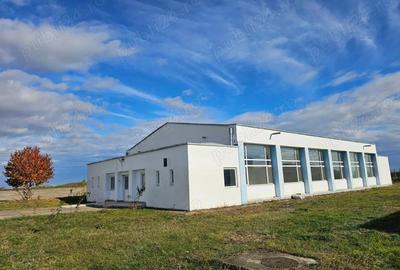 Hala industriala de inchiriat - 1