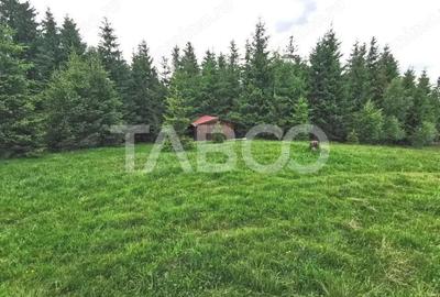 Teren cu puz intravilan in localitatea Paltinis din judetul Sibiu - 8