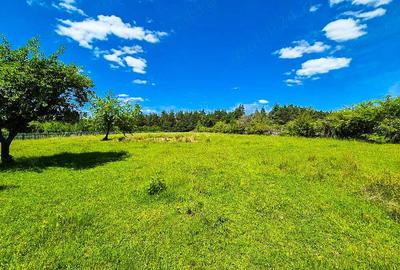 Teren intravilan Cotmeana Arges - 2