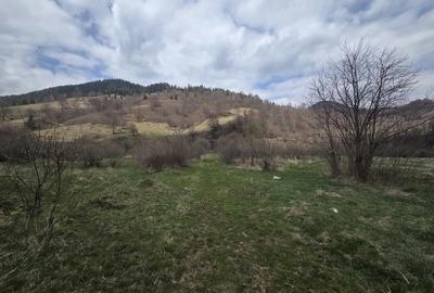 Teren de 28000 mp, în Tulgheș - 7