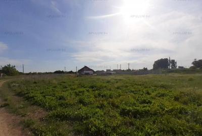 Teren de 1430 mp, în 1 Decembrie