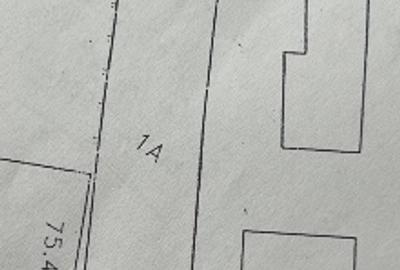 Teren Construcții intravilan de 842 mp, în Turnătorie - 3