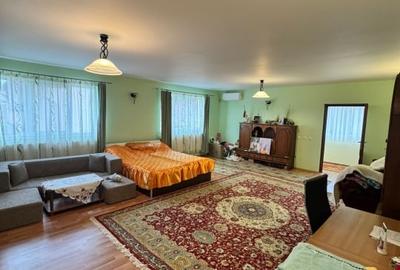 CASĂ DE VIS SAU AFACERE DE SUCCES - BAIA SPRIE - 20