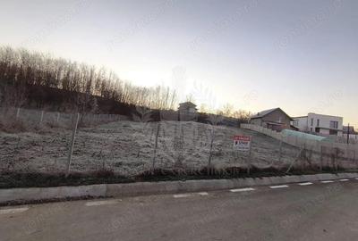 Teren de 2700 mp, în Plopu