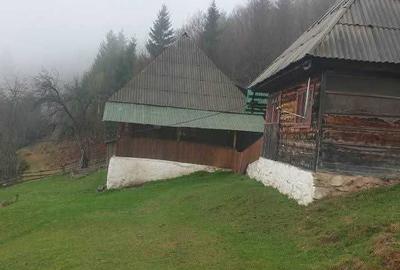 Teren de 60000 mp, în Vadu Moților - 3