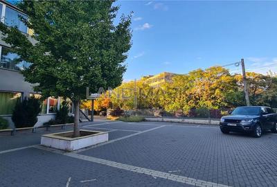 Cladire de inchiriat Timisoara, semicentral, parcare proprie - 19