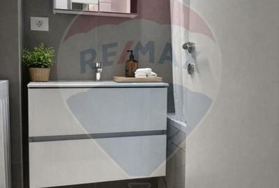 Apartament cu 2 camere semidecomandat, mobilat în Dămăroaia - 6