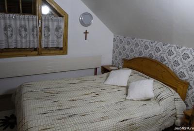 Casă cu 1 camere cu Teren 300 Mp în Ocna Șugatag - 8