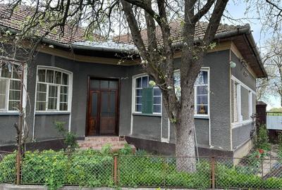 Casă individuală cu 5 camere cu Teren 1440 Mp în Central - 6