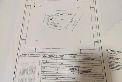 Casă în Valea Bradului - 10