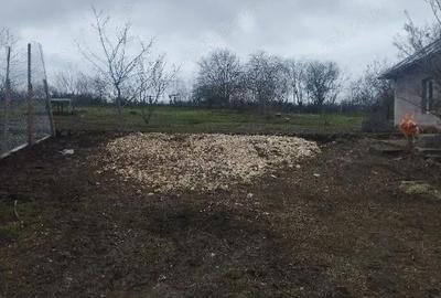 Casă cu 2 camere cu Teren 2500 Mp în Dumbrăveni - 10