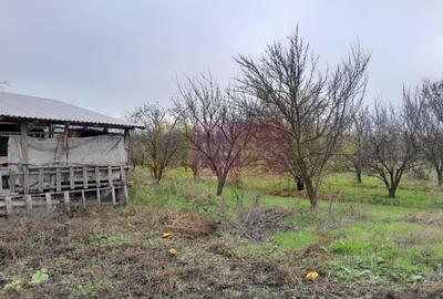 BARCANESTI -  casa +curte+teren 16k mp - 55