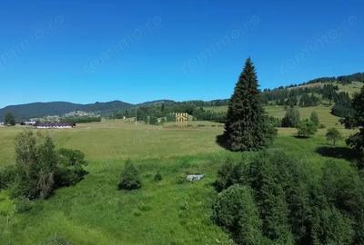 Teren in Bucovina! La Munte! De vanzare! 0727817187 - 3