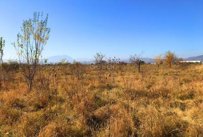 Teren investitie Ghimbav - 5