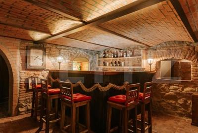 Conac de vanzare 7 camere cu bai proprii, crama, ciubar si potential - 20