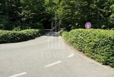 Casă in zona exclusivistă ,,Pădurea Dumbrava" Casă in zona exclusivistă ,,Pădurea Dumbrava" - 10