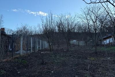 Casa * Vila NOUA | Valenii De Munte - 10