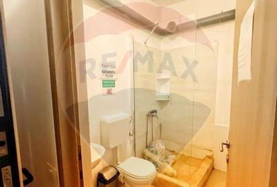 Garsoniera de inchiriat pentru birou in zona Unirii- Sf... - 3