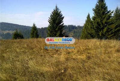 Teren de 12730 mp, în Vatra Dornei - 4