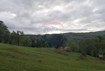 Teren cu priveliste spectaculoasa, 4000mp, la 18km de Sinaia Teren cu priveliste spectaculoasa, 4000mp, la 18km de Sinaia - 7