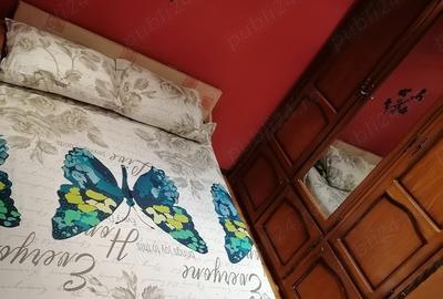 Inchiriez apartament cu 3 camere in Dr Tr Severin - 3