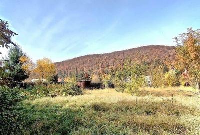 Teren de 660 mp, în Bunloc - 2