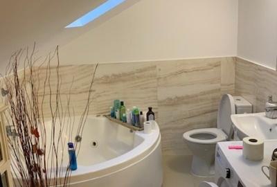Apartament cu 3 camere decomandat, mobilat în Valea Borcutului - 6