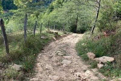 Teren de 4420 mp, în Vinețisu - 1