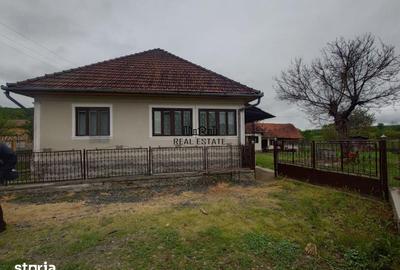 Casă cu 4 camere cu Teren 2651 Mp în Baia de Criș - 13