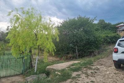 Teren de 1786 mp, în Nenciu - 3