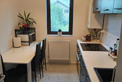 Apartament cu 3 camere decomandat, mobilat în Lunca Cetățuii