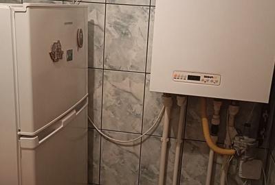 Casă cu 4 camere în Radu Negru - 3