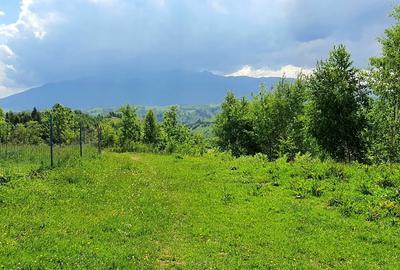 Teren Construcții extravilan de 2500 mp, în Peștera - 2