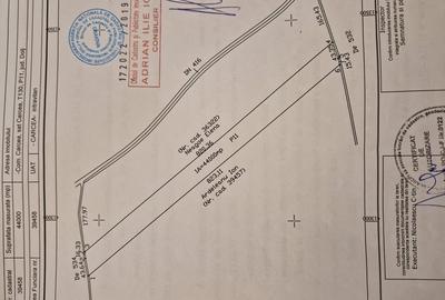 Teren de 44000 mp, în Cârcea - 1