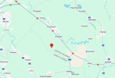 Teren agricol extravilan de 22810 mp, în Frumușani - 5